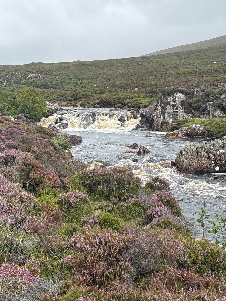 WSFTrust's tweet image. #FridayChallenge Thanks to Andy for this photo from his fishing this year, but where was he?