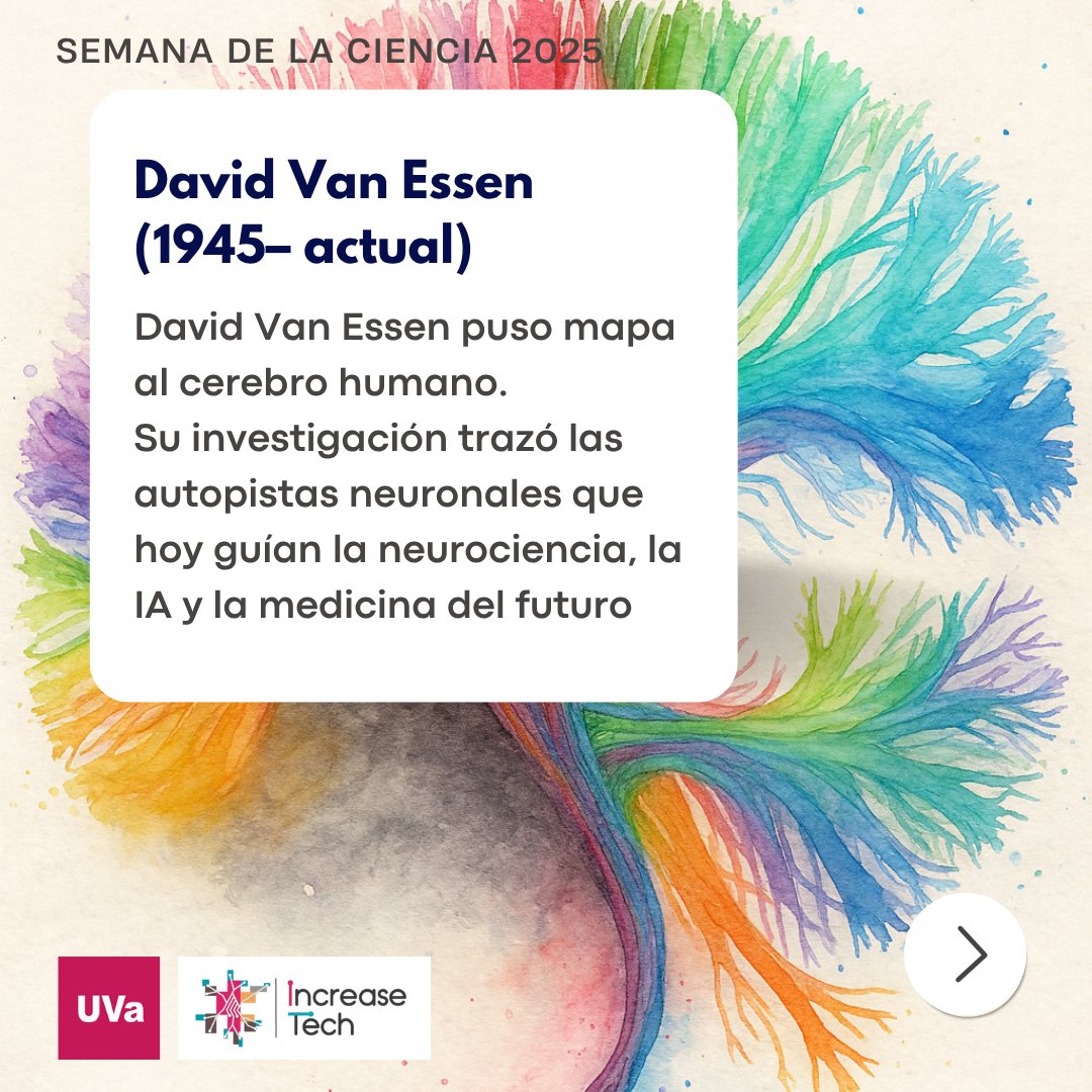 TechIncrease's tweet image. 🧠🌐 David Van Essen (1945– actual)
Conectoma Humano: David Van Essen puso mapa al cerebro humano.
Su investigación trazó las autopistas neuronales que hoy guían la neurociencia, la IA y la medicina del futuro.
#SemanaDeLaCiencia @uvadivulga @SCienciaCyL