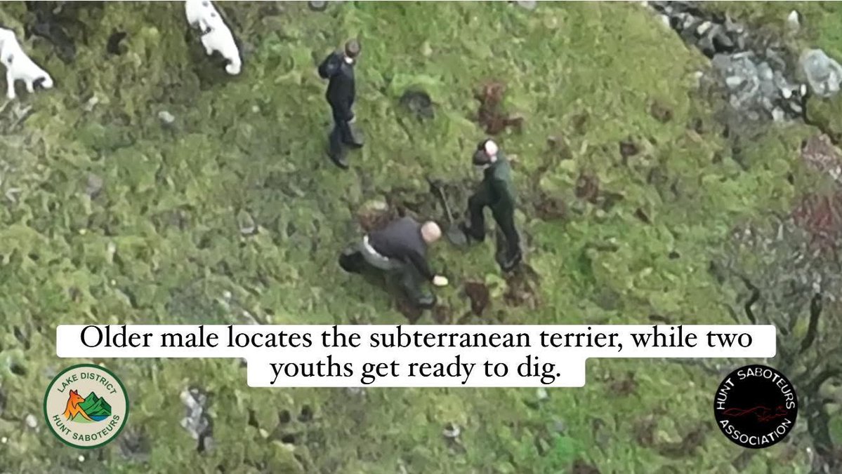 HuntSabs's tweet image. 𝗖𝗼𝗻𝗶𝘀𝘁𝗼𝗻 𝗙𝗼𝘅𝗵𝗼𝘂𝗻𝗱𝘀: 𝗔 𝗖𝘂𝗹𝘁𝘂𝗿𝗲 𝗢𝗳 𝗖𝗿𝘂𝗲𝗹𝘁𝘆

𝘛𝘩𝘦 𝘺𝘰𝘶𝘵𝘩𝘴 𝘢𝘯𝘥 𝘤𝘩𝘪𝘭𝘥𝘳𝘦𝘯 𝘱𝘳𝘦𝘴𝘦𝘯𝘵 𝘢𝘳𝘦 𝘤𝘭𝘦𝘢𝘳𝘭𝘺 𝘦𝘹𝘱𝘦𝘳𝘵𝘴 𝘪𝘯 𝘥𝘪𝘨𝘨𝘪𝘯𝘨 𝘰𝘶𝘵 𝘧𝘰𝘹𝘦𝘴, 𝘩𝘢𝘯𝘥𝘭𝘪𝘯𝘨 𝘩𝘶𝘯𝘵𝘦𝘥 𝘧𝘰𝘹𝘦𝘴 𝘢𝘯𝘥 𝘸𝘰𝘳𝘬𝘪𝘯𝘨…