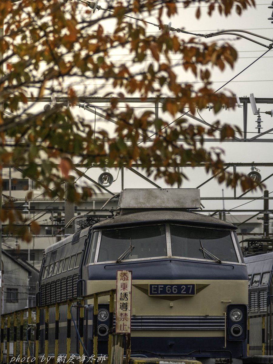 2025/11/13 吹田機関区 こんな場面も。秋も深まりつつあります。 EF66