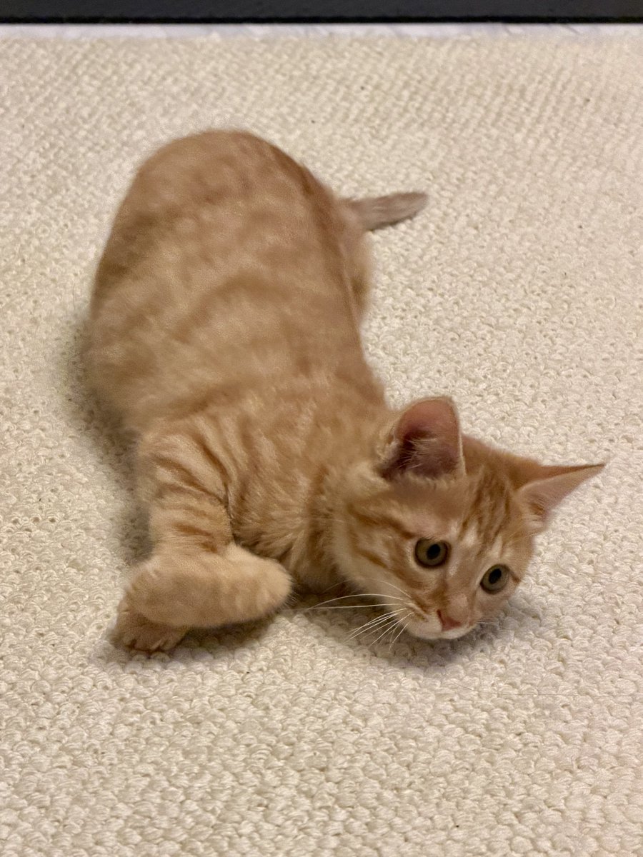 镜头感很好的宝宝