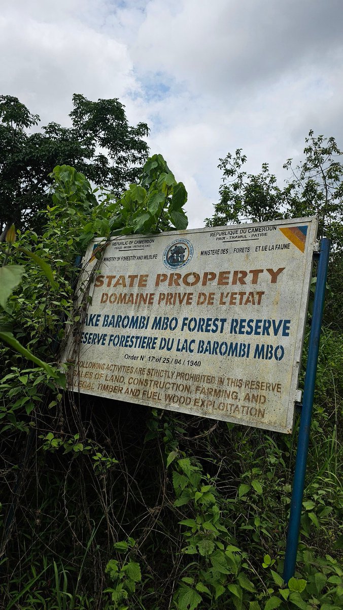 Lake Barombi-Mbo
Department de la Meme
Region du Sud Ouest