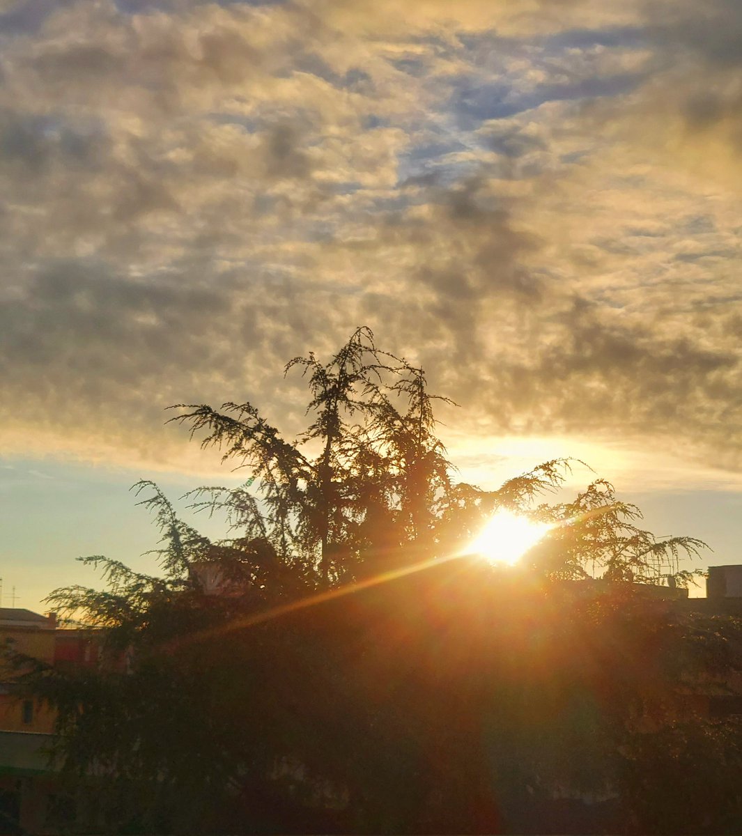 Maria Lea tweet media