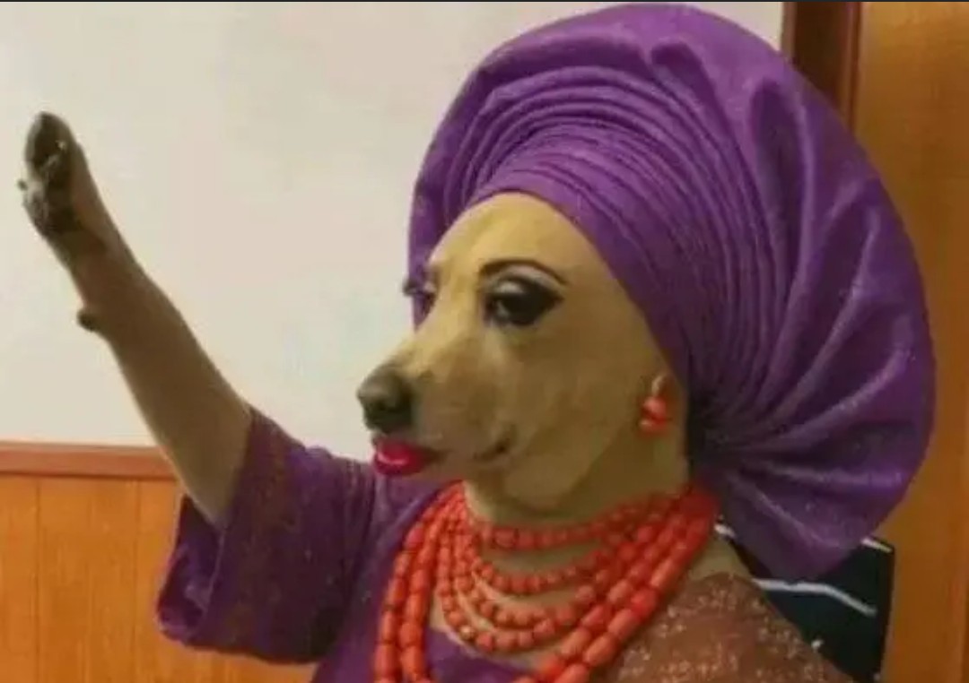 Your Mum in a school meeting asking why money for Medulla Oblongata is paid twice a year.