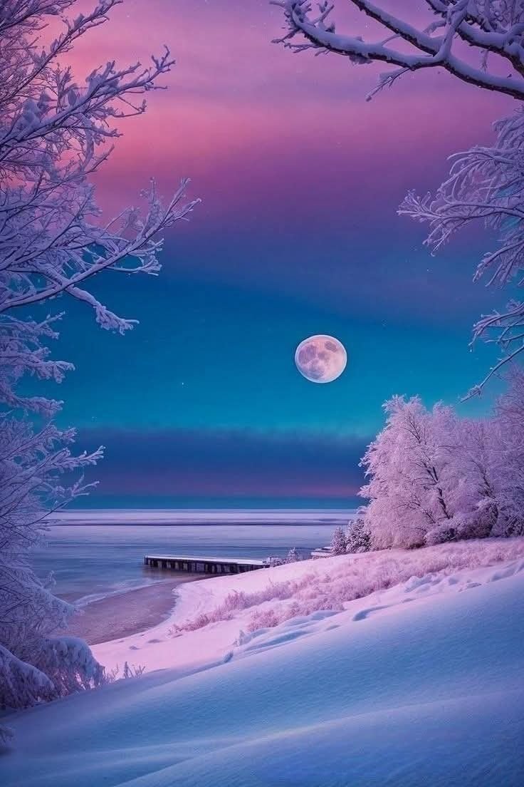 #vss365 #FoxProse <a href="/FoxProse/">Fox Prose</a> #fairytalepoets #loveletters 💌 

What's the #science behind an amethyst midnight reflecting the color of romance?... Will that question answer me, If I wander along gone years? Maybe it auroras a purple haze to sky where winter blossoms like a light