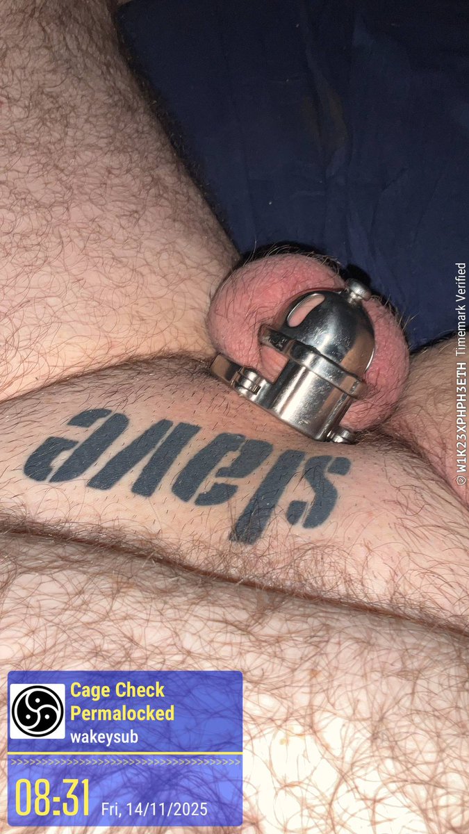 Cinema trip yesterday to see Pillion at Leeds Film Festival. Felt special to watch it with my cock firmly locked away. I was super horny going in and watching the treatment got me leaking. Permalocked day 423. Need to go on a camping trip.