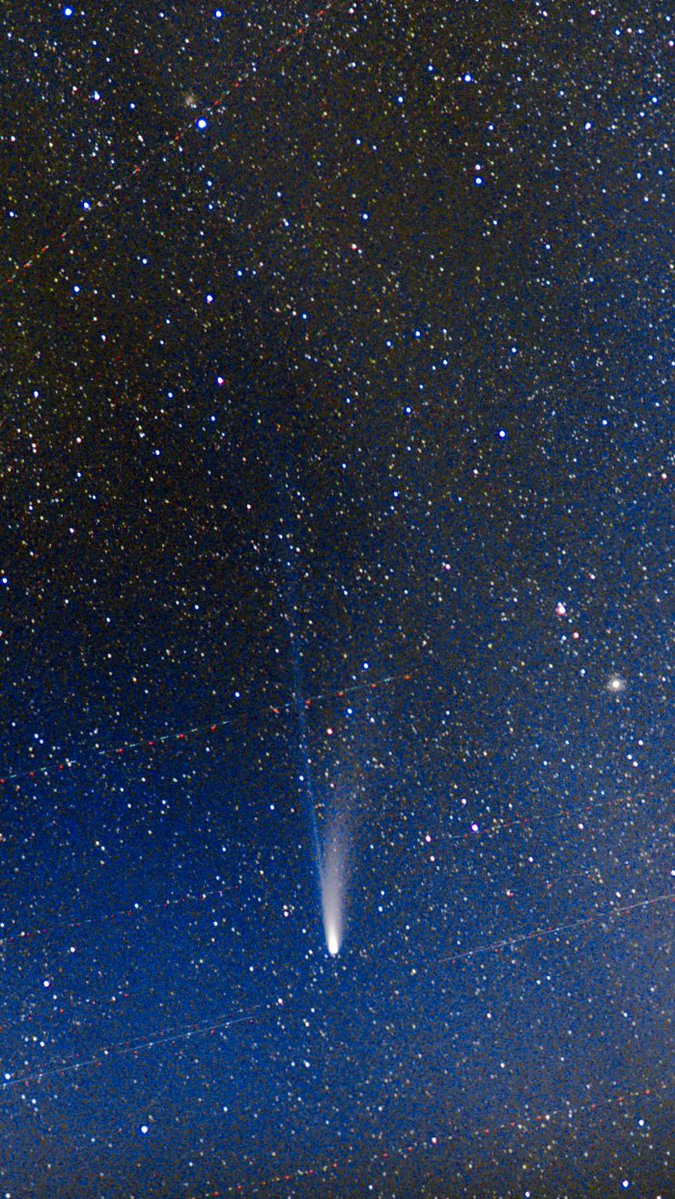 nicky2086's tweet image. 這大概是拍攝C/2025 A6(Lemmon)彗星的最後一組照片了...
攝於2025/11/07
#cometlemmon 
#彗星