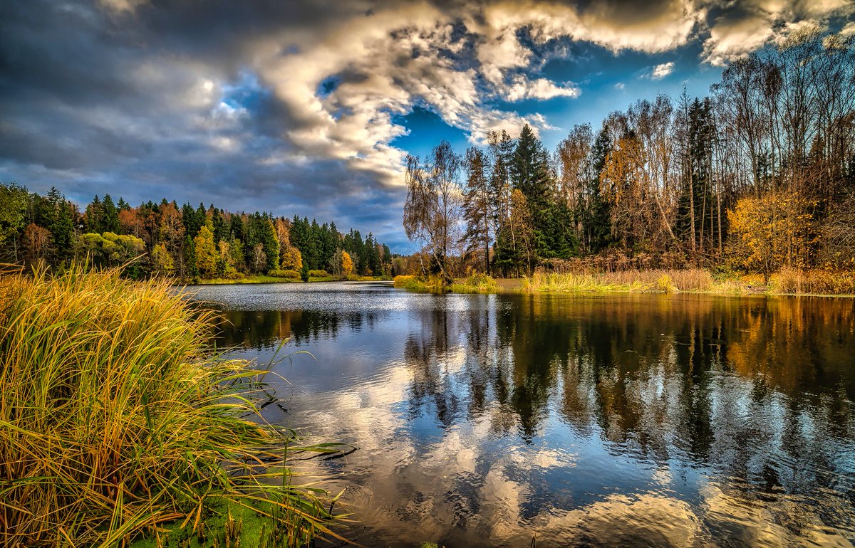 💋

Buen día... 😜