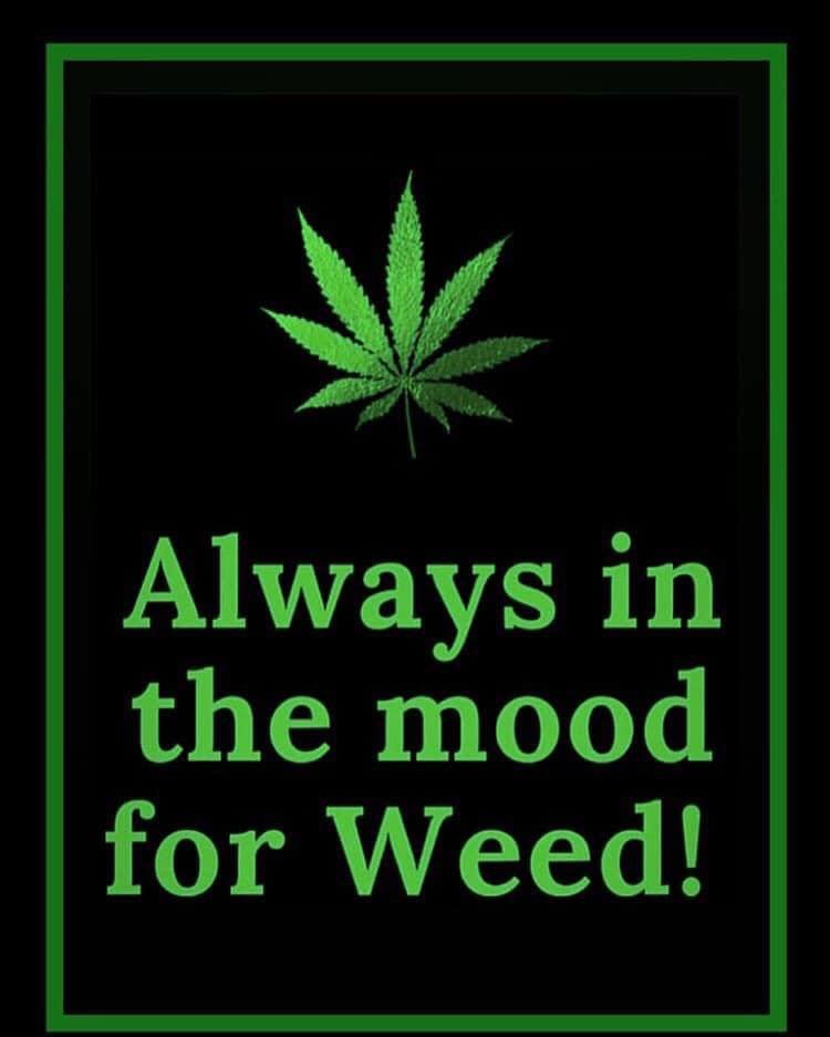 Stoner Jesus™ tweet media