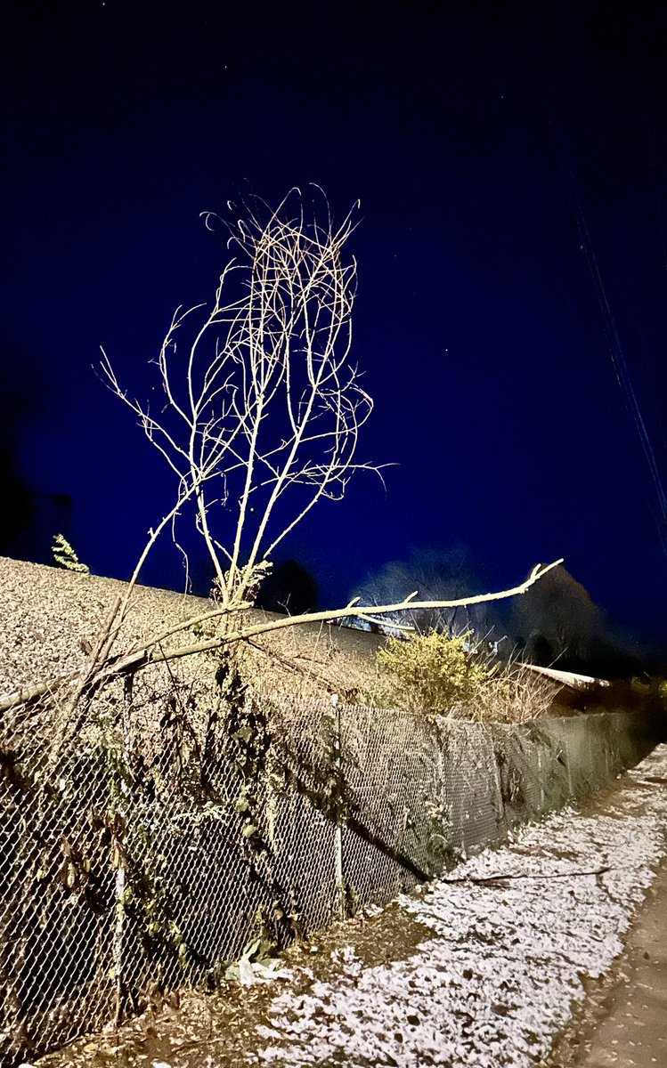 My thoughts on the matter.