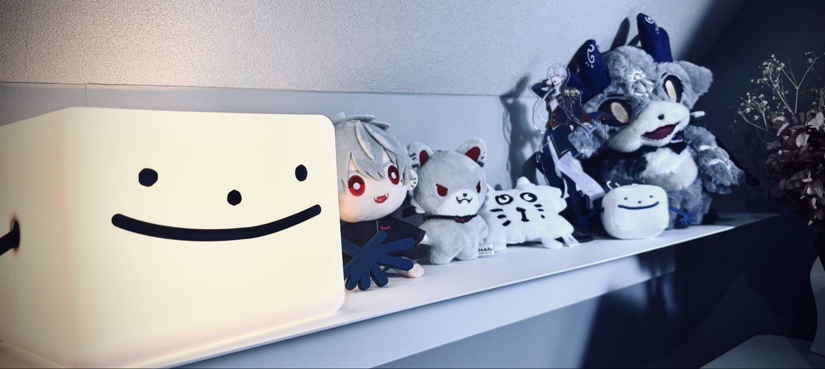 まごうことなく私事ですが、ルームライト石田が想像を遥かに超えるぷに