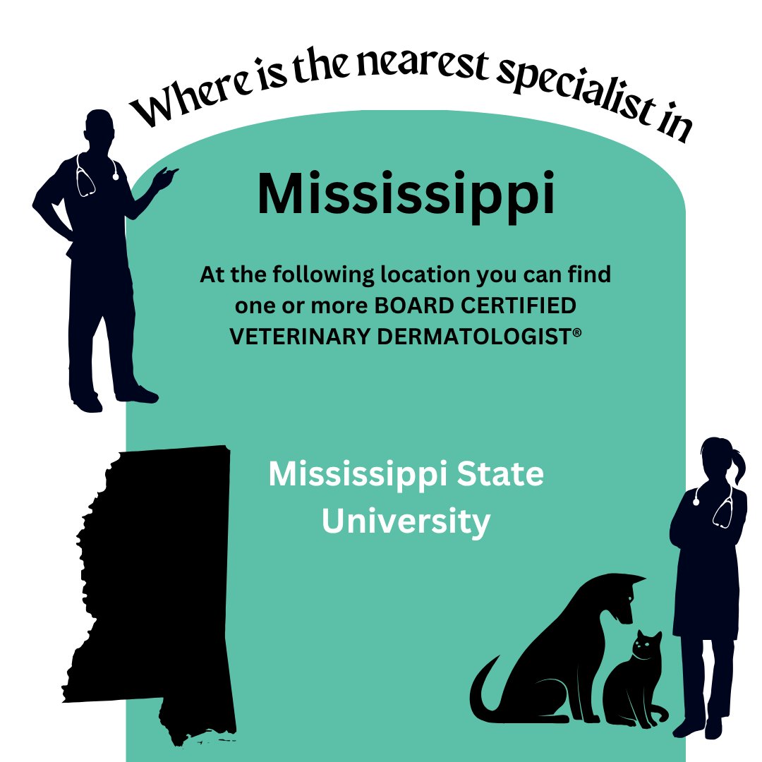 the_ACVD's tweet photo. #DYK You can find a BOARD CERTIFIED VETERINARY DERMATOLOGIST® across the United States and other countries including #Mississippi Dermatologists specialize in treating allergies, skin &amp; ear disease. Use our “Find a Dermatologist” map to locate the #ACVD specialist nearest to you. https://t.co/NYgk0TUNPZ