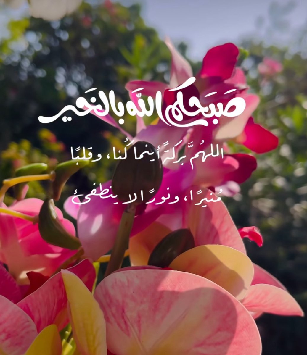 اللَّهــم في #يوم_الجمعة 
نوراً من نورك الذي لاينطفئ 
اللهَّــم اغفر لنا ولآبائنا وأمهاتنا والمسلمين أجمعين .
اللَّـهـم صلِّ على نبينا محمد وعلى آله وصحبه وسلِّم .