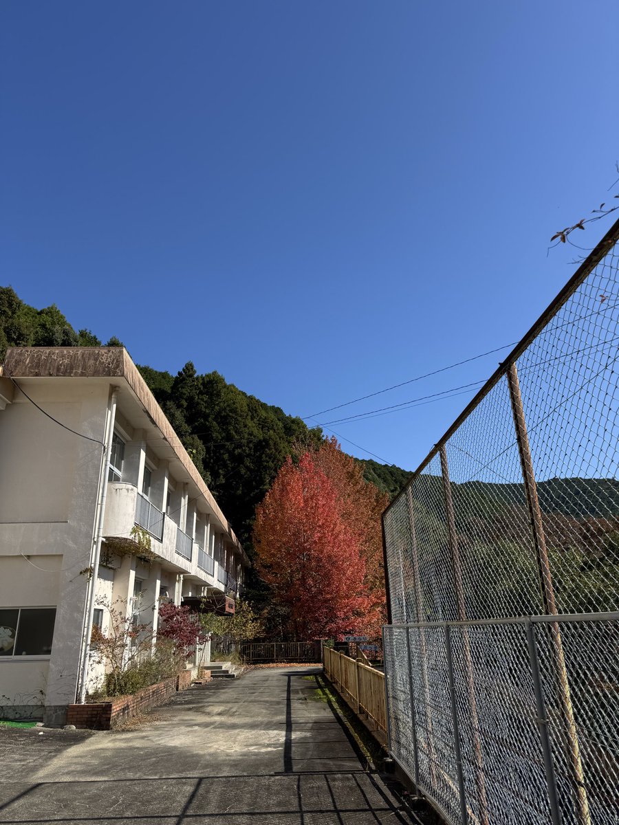 3時間かけて来てのに
GoProにSDカード
ささって無かった
地獄😭😭😭