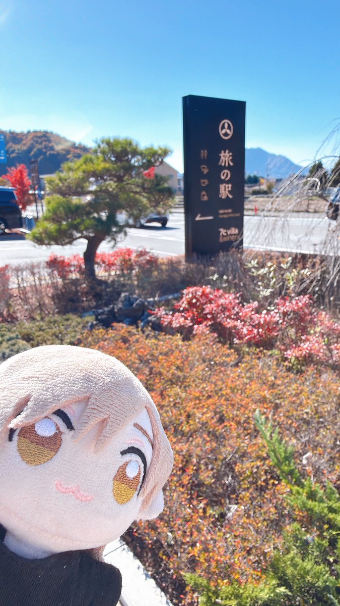 🌸 はなちゃん 🌸 (@HANAchan738) / Posts / X