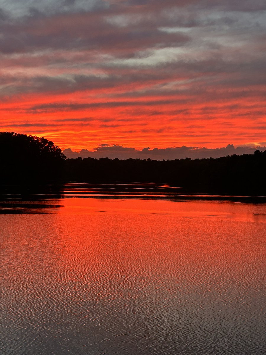 Maiv Lig Lauj tweet media