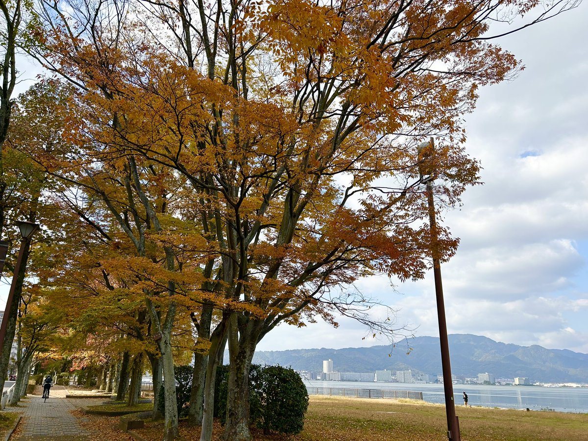 atelierLIB's tweet image. 11月14日の散歩道
鳰という渡り鳥がやってきた！
いよいよ冬支度かなー