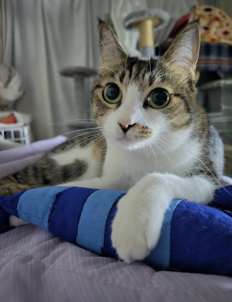 まりもちゃん！と🧌 (@marimo2021915) / Posts / X