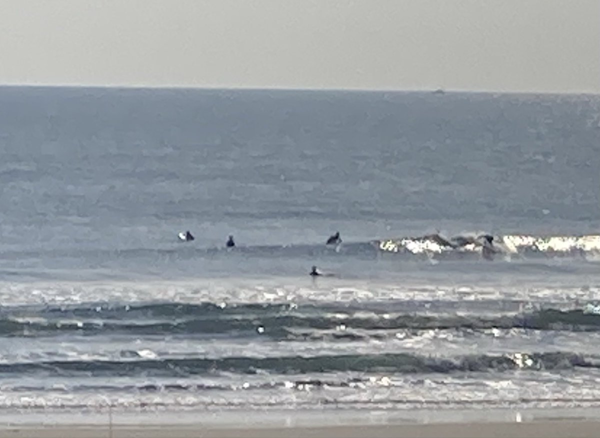 jima_surf's tweet photo. 今朝は久しぶりの小波。老人に丁度いいサイズだったので遊べました。水温下がってきましたよ！ https://t.co/HkwhtP1dgS