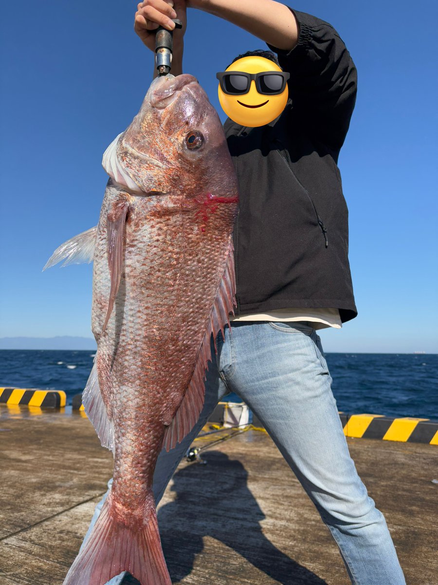 りょ🎣🐡 tweet media