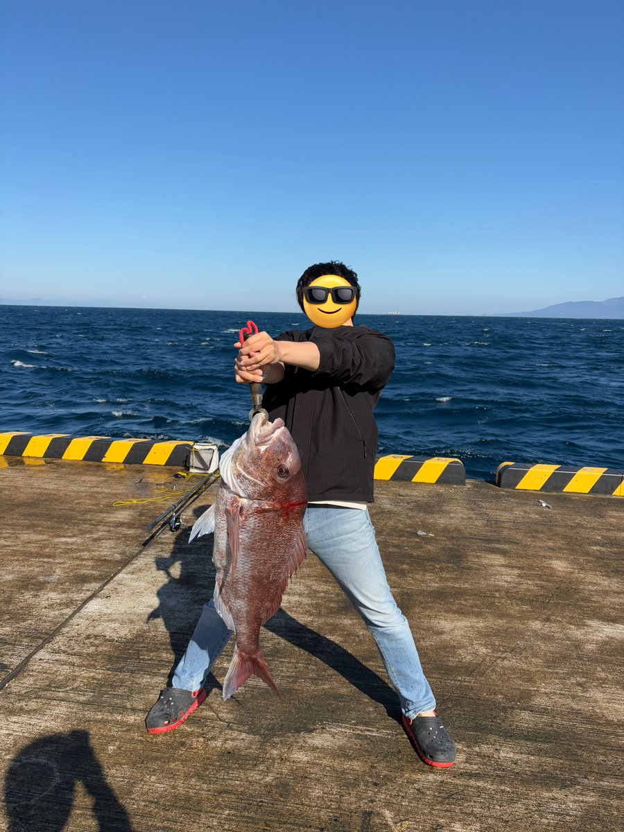 りょ🎣🐡 tweet media