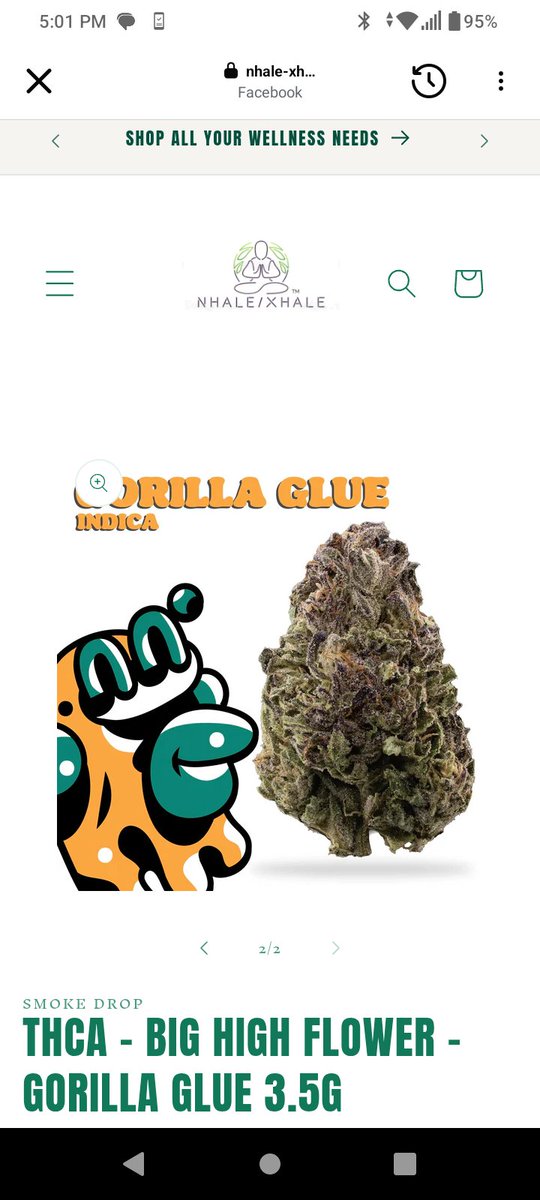 Danki Full Spectrum tweet media