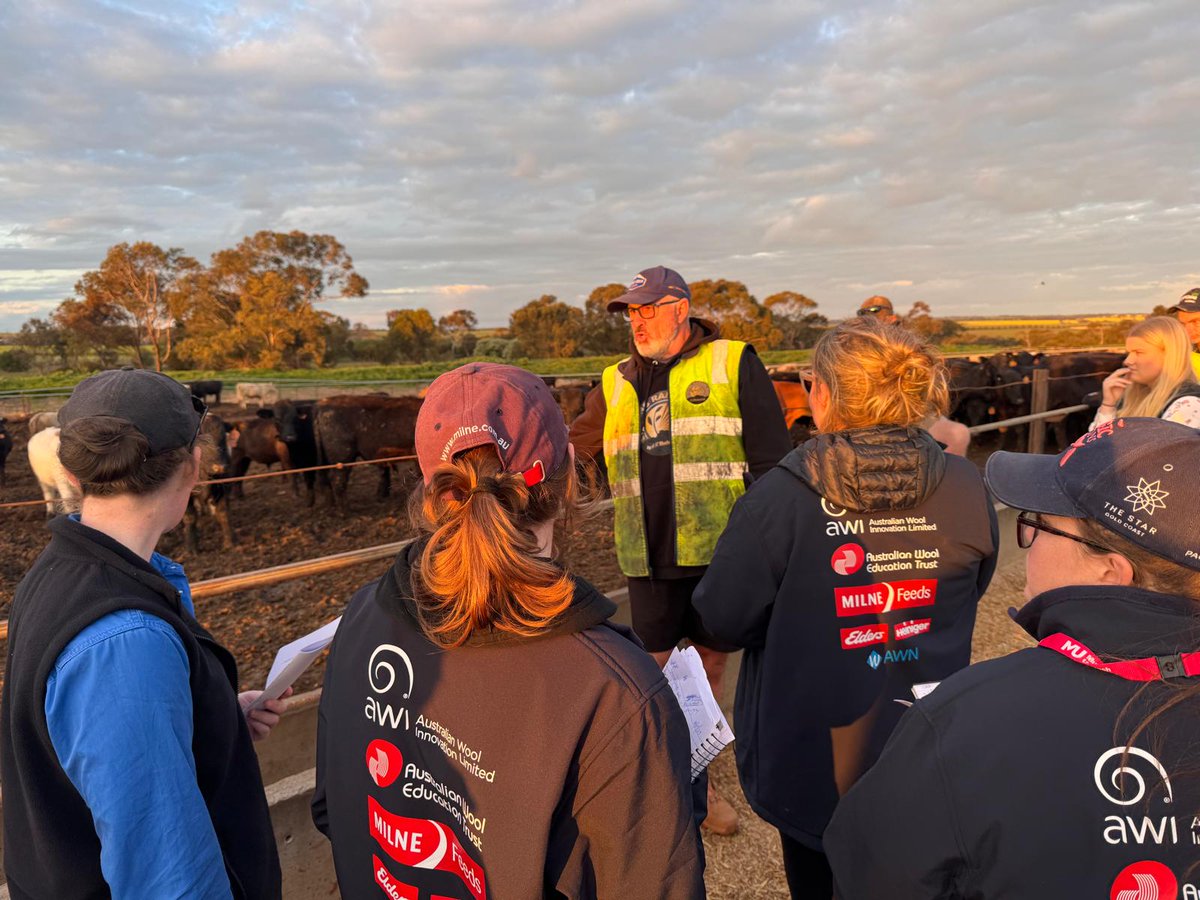 Thank you <a href="/EldersLimited/">Elders</a> for partnering with <a href="/MurdochUni/">Murdoch University</a> and help support the Livestock Industry Tour!  This tour provides invaluable networking opportunities for students, who are the future of the industry.
🗣️"I was able to overcome my fear of connecting with professionals."