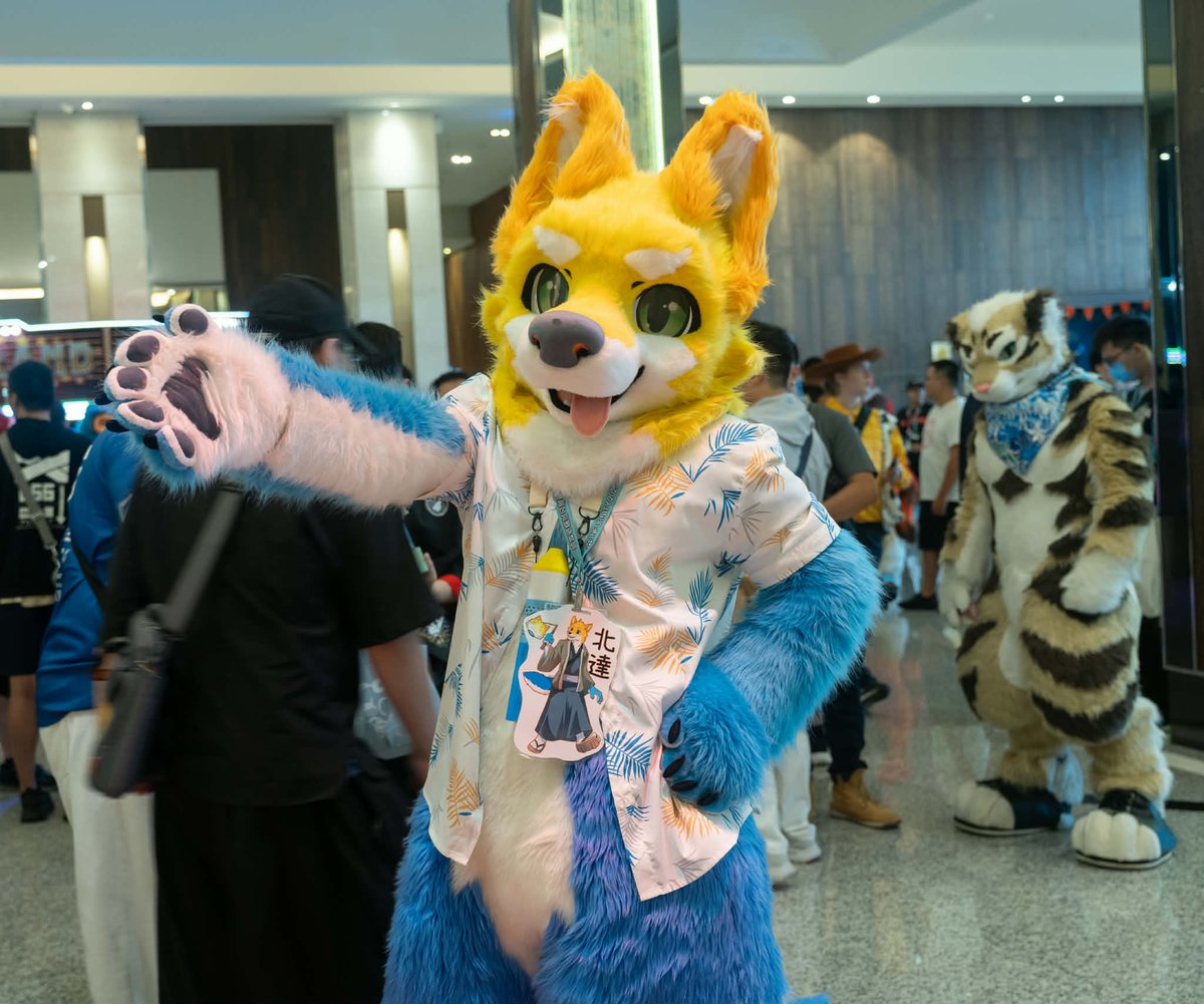 だからよく鼻を触るんだよ。
誰がそこに黒い斑点を付けたの？(╯‵□′)╯︵┻━┻

📷: @邱邱

#FursuitFridays