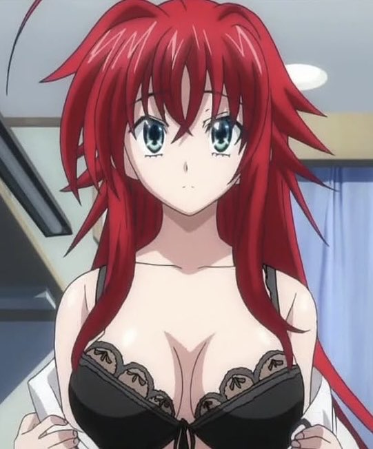 #HighSchoolDxD 
#RiasGremory