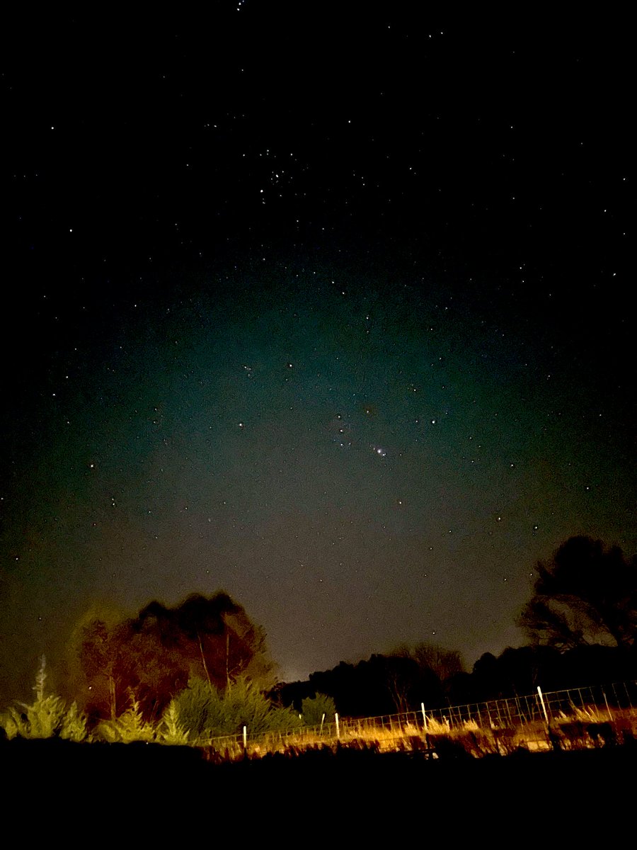 Elon messing up my sky