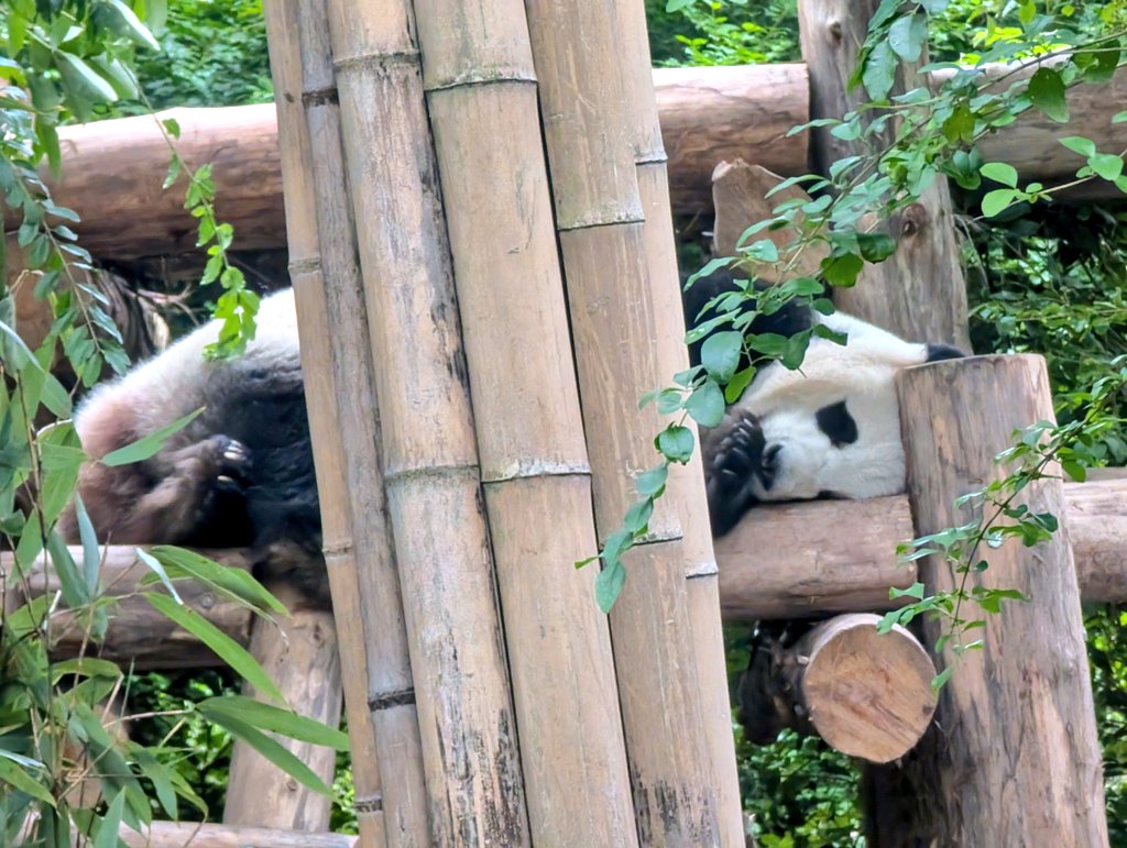 この子は、太陽産房の星雅ちゃんでした🥰