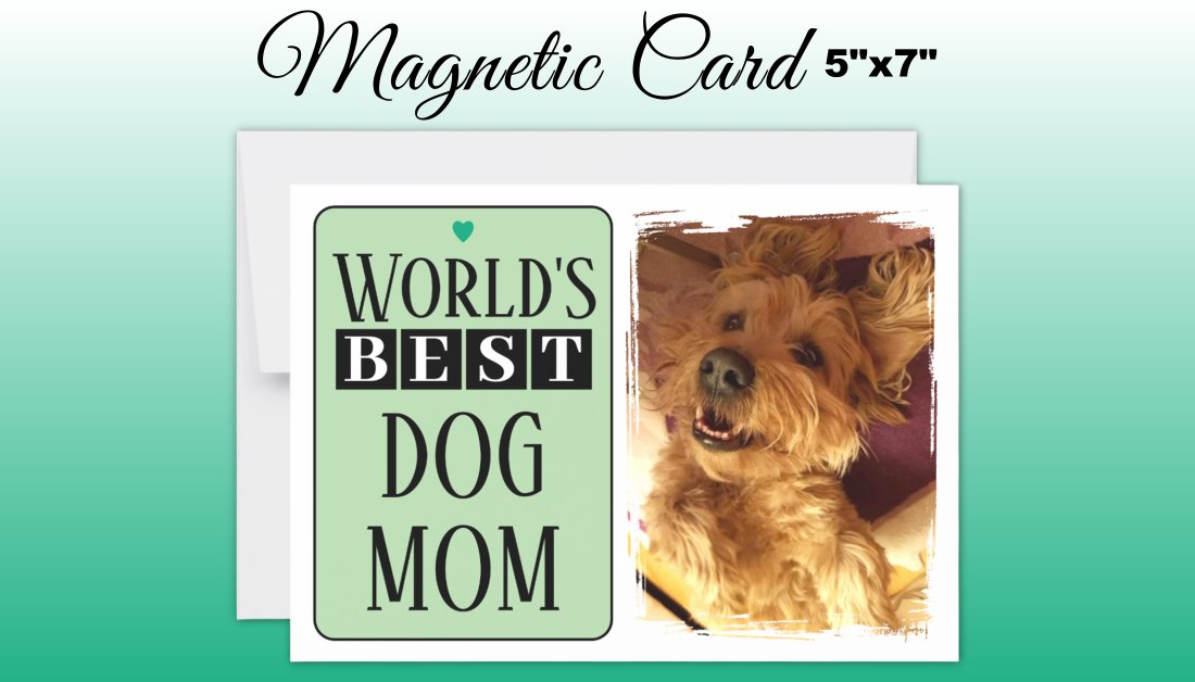 LynnroseDesign's tweet image. zazzle.com/best_dog_mom_o…
#petlover
