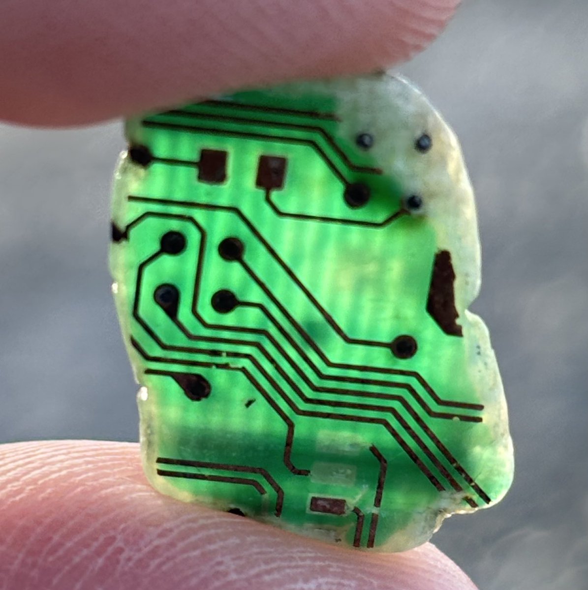 ユニコーンお前実在したんか！！！