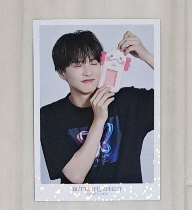 BUTTERFLY EFFECTフォトカード 譲→佐藤大樹(シクレ) 求→澤本夏樹
