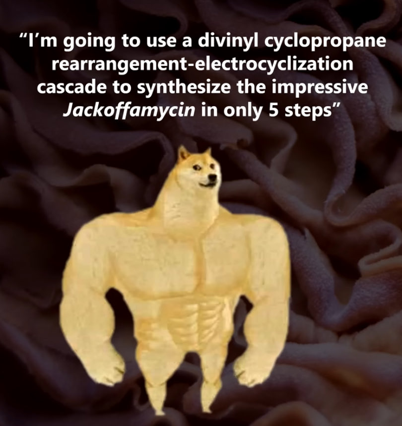 guden ᨐ ˖ ˚ tweet media