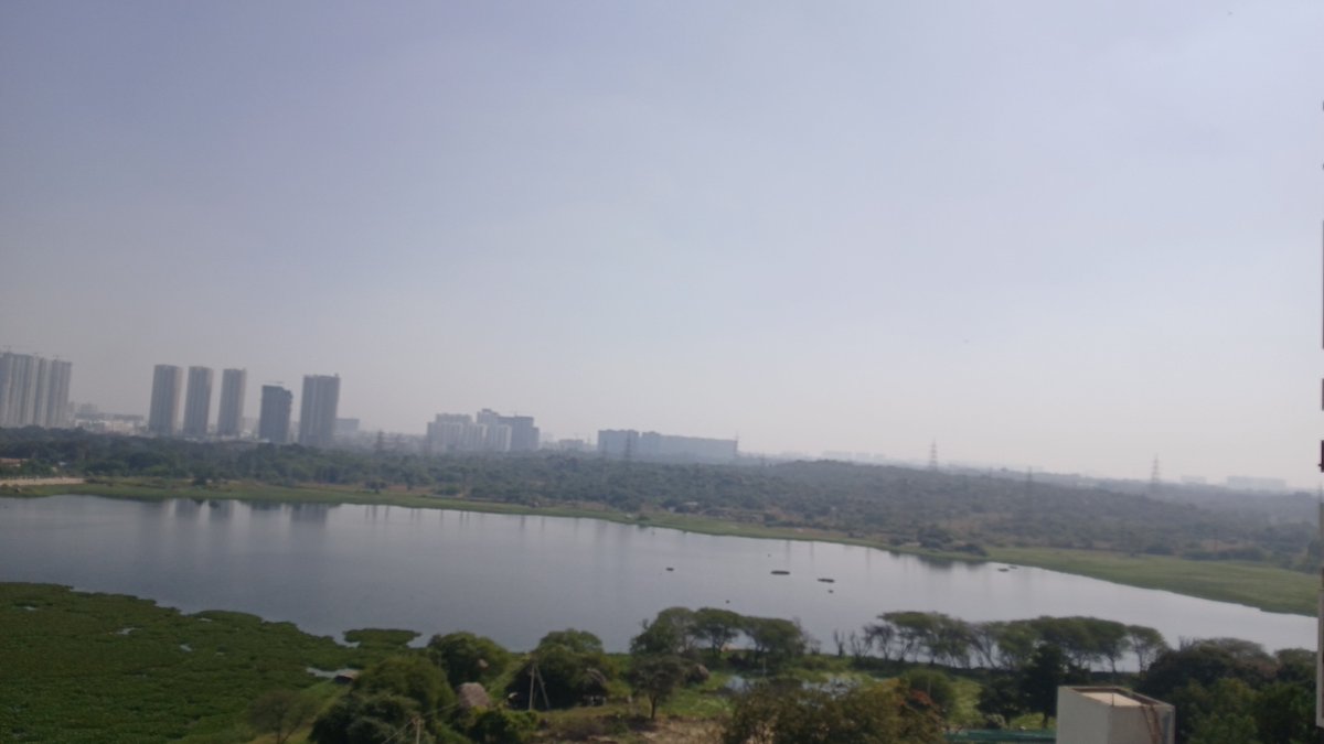 Shaliver87's tweet photo. Nallagandla Lake is suffering! The water surface filled with hyacinth plants, choking the aquatic life below. Urgent action needed—requesting authorities to resume cleaning and restore the lake for biodiversity. #SaveNallagandlaLake #Hyderabad @CommissionrGHMC  @CMTelangana https://t.co/JiMEIU09KD