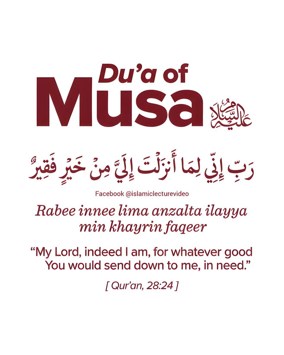 STRIVING MUSLIM tweet media