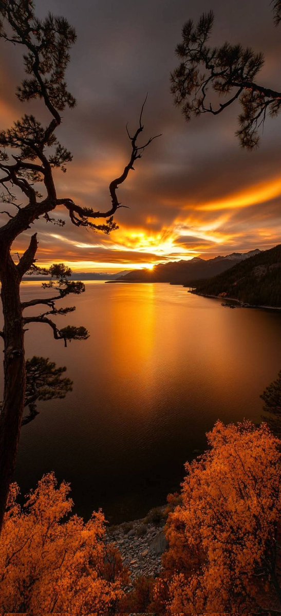 scouce007's tweet image. ❤️🧡 Good Morning!🧡❤️