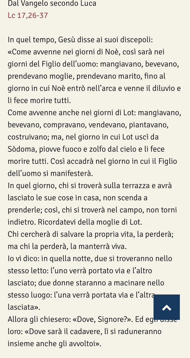 BertoglioChiara's tweet image. #pregare la Parola di oggi: usare l’intelligenza per giungere alla santità 😇 
#VangeloDiOggi #vangelodelgiorno
