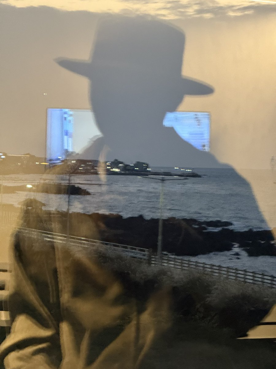 昨天在从回国的飞机上，我把《无根鸟》最后几十页看完了。这是周文翰继《孤星之旅》之后写的李白传记。李白在我们眼中，是伟大的诗人，是“诗仙”，浪漫、自由、狂放。然而在他自己看来，却是苦闷居多。