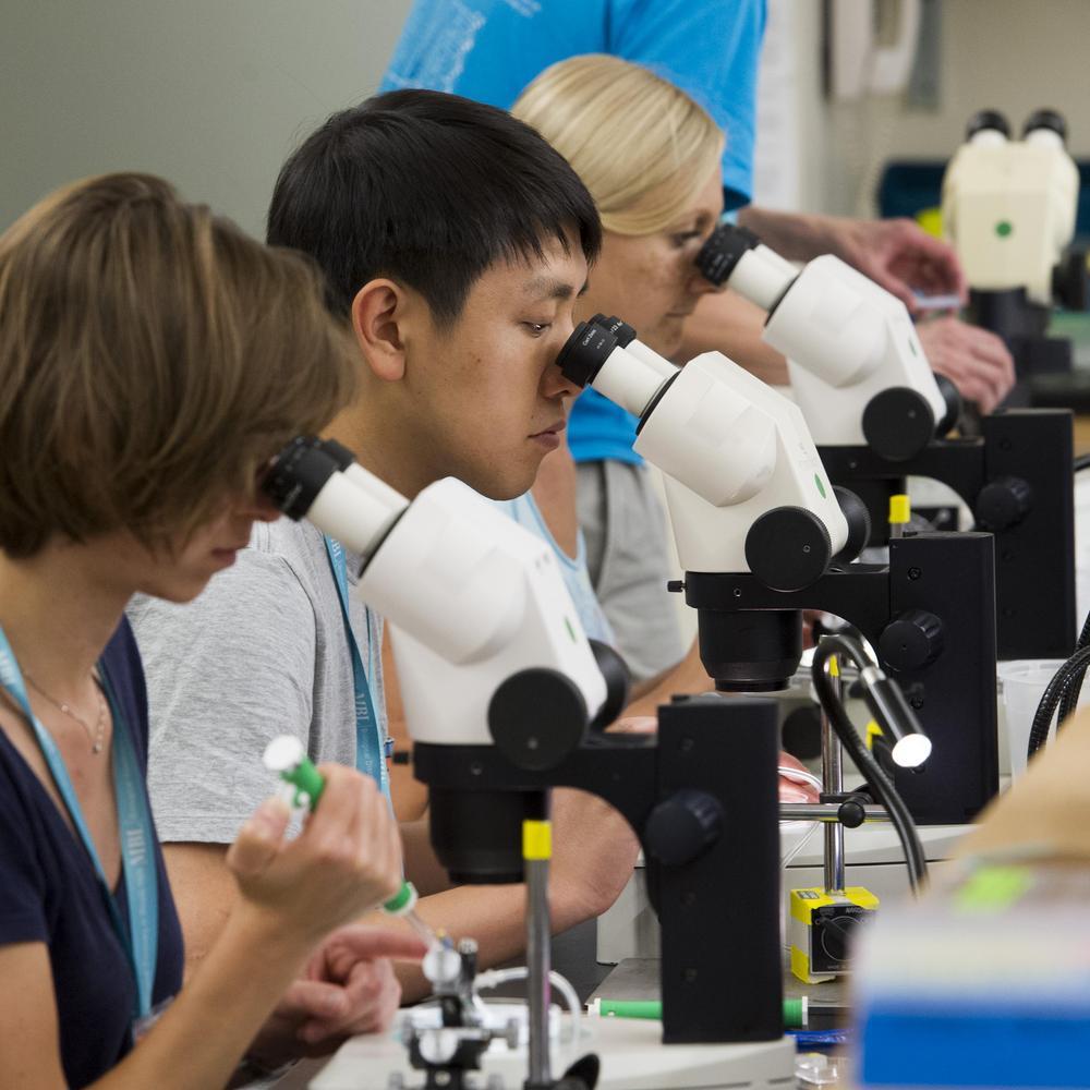 MBLScience's tweet image. Zebrafish Course 2026
An intensive two-week program on zebrafish development and genetics for advanced students, postdocs, and investigators. Hands-on labs, evening lectures, and the latest techniques.
📅 7/23–8/6
🗓 Apply by 3/2/26
💰 Aid available: go.mbl.edu/mbl-zebrafish