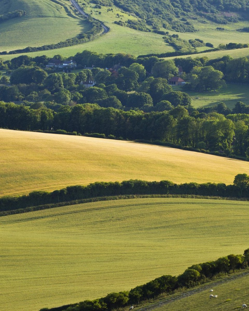 South Downs National Park tweet media