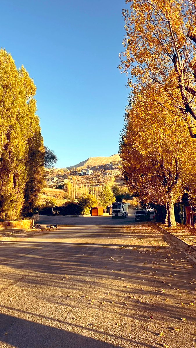 كل مرة تهدأ فيها 
وتواجه مشاعرك بوعيٍ كامل سواء من غضب أو خوف أو غيره ، فأنت تعيد برمجة جهازك العصبي على الأمان ❤️

#صباح_الخير