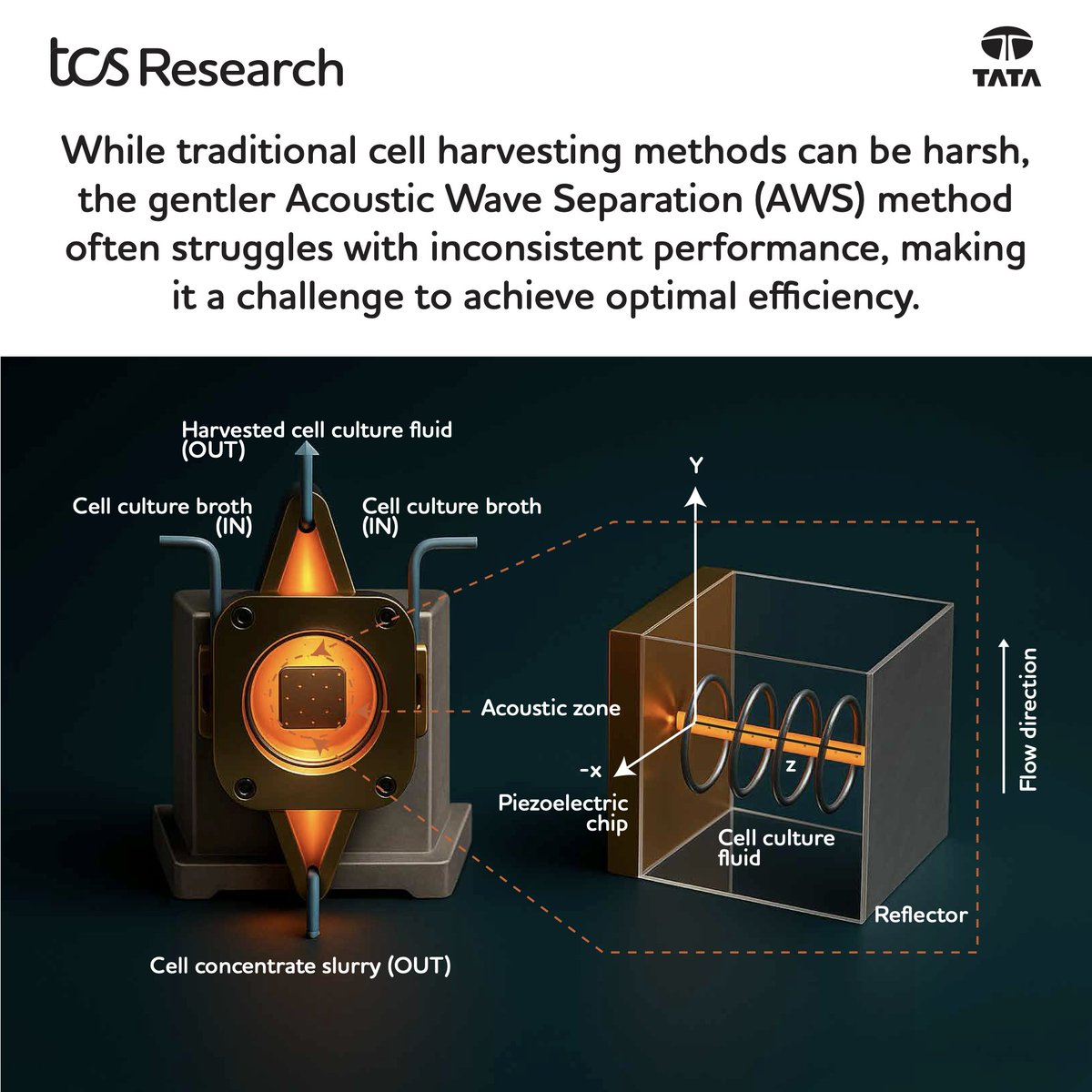 TCSResearch's tweet image. Acoustic Wave Separators (AWS) can be used in cell harvesting but may not always work efficiently.
Our researchers have patented a digital twin for AWS that monitors the process in real-time and dynamically optimizes parameters to ensure maximum efficiency in biomanufacturing.…
