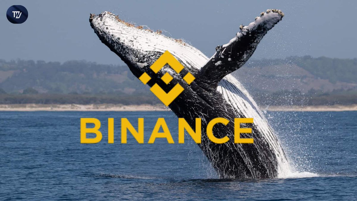Techubscanner's tweet photo. 🚨 惊天巨鲸再出手!“借66K $ETH 鲸鱼”狂扫19,508枚$ETH(价值6103万美元)从#Binance买入,直供#Aave V3!😤
接着从#Aave V3 狂借1.7亿$USDT,存入#Binance——摆明要继续抄底$ETH!总持仓飙至405,252枚,市值12.8亿美元!
#ETH #以太坊 #加密货币 #DeFi
本文由 #TechubNews 香港 WEB3 新闻媒体|@Techub_News 赞助