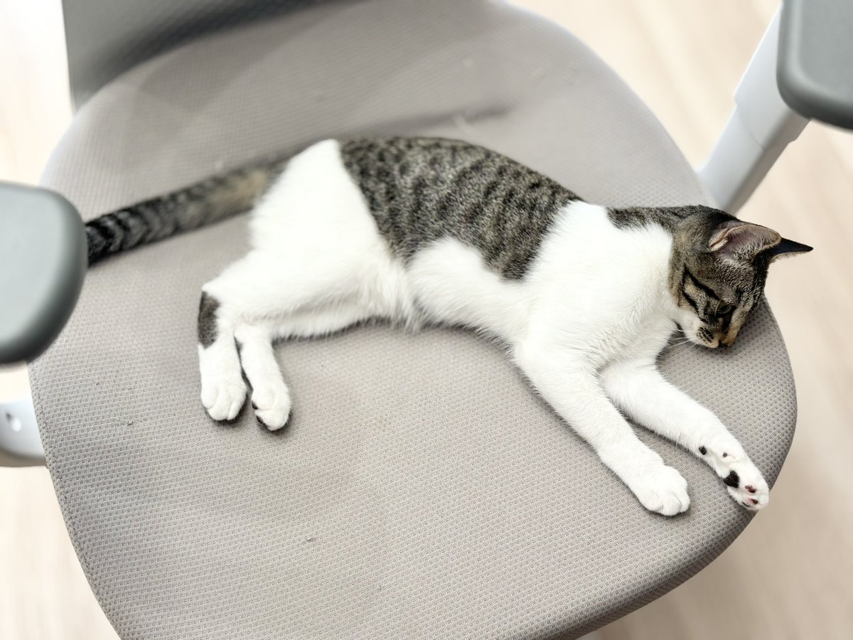 とろろ (@to10ror6ro6) / Posts / X