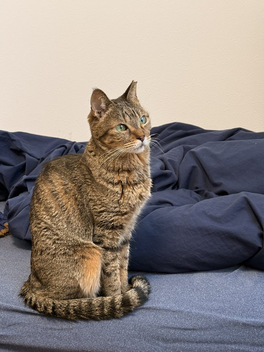 それではここで、おばさんのPCモニターを見つめる小梅ちんです