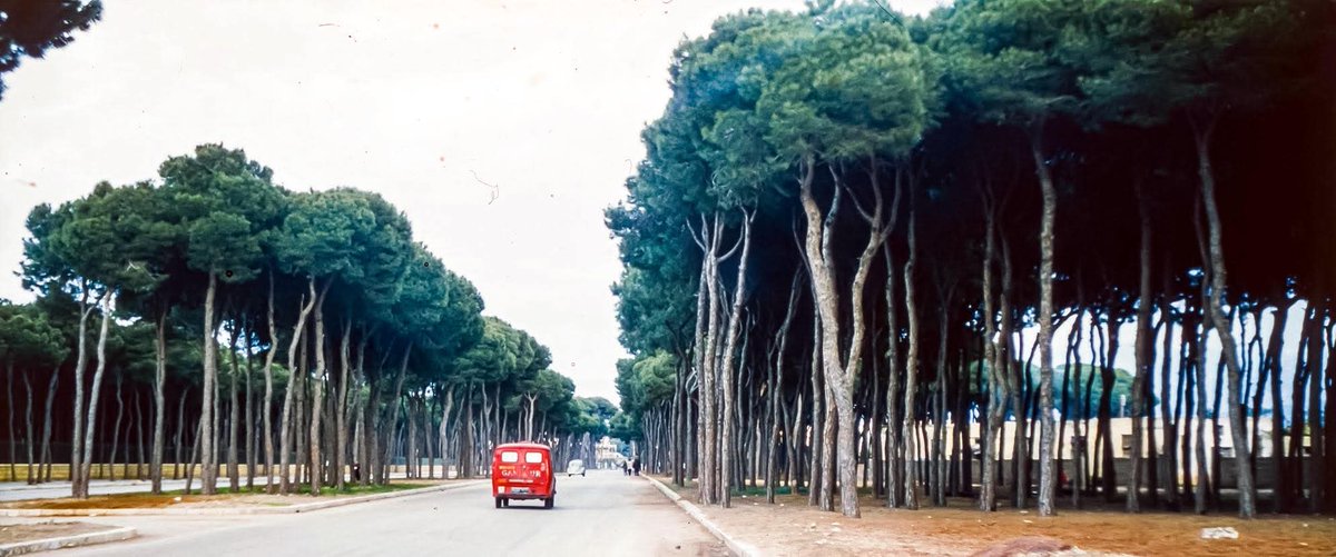 Ghandour van on the old Airport Road..
Robert Zebib