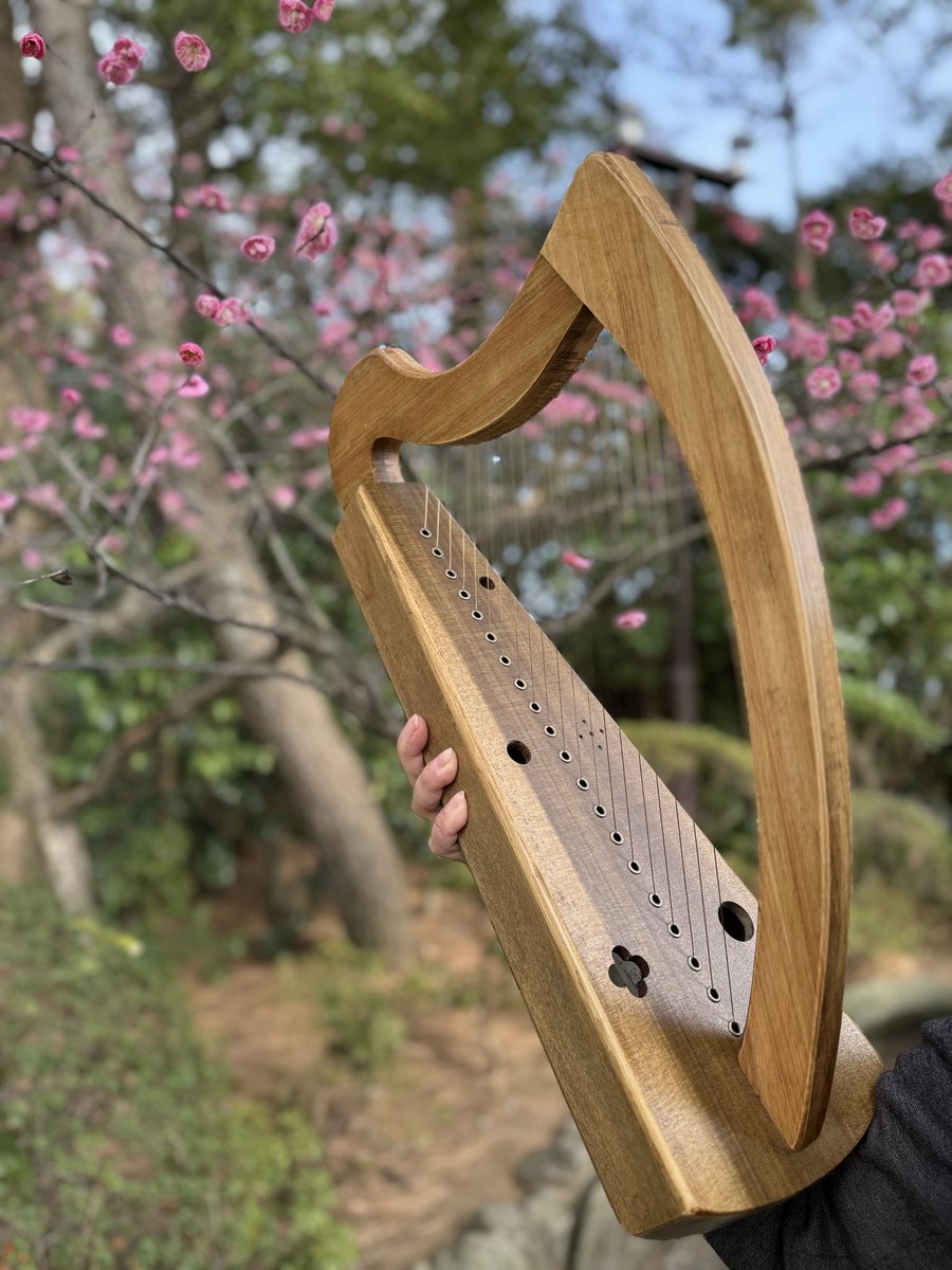 ハープ 寺本 圭佑（金属弦アイリッシュハープ奏者、研究家、製作者