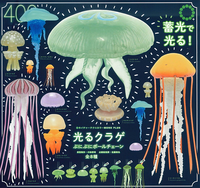 ✨新商品案内 2025年11月14日(金)✨／ ☑️ネイチャーテクニカラー